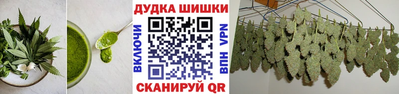 Canna-Cookies конопля  купить наркотик  Рошаль 