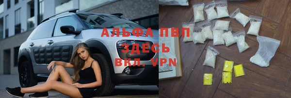 гашик Алексин