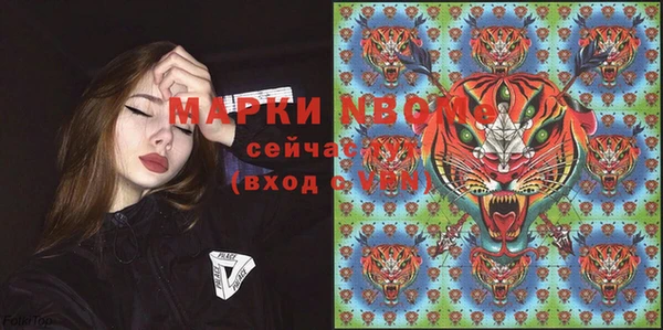 гашик Алексин