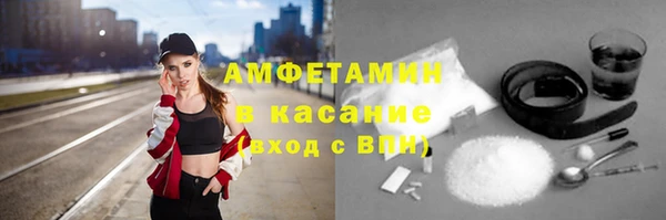гашик Алексин