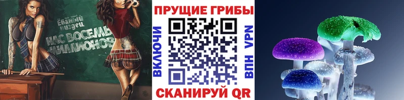 Галлюциногенные грибы Psilocybine cubensis закладка Рошаль