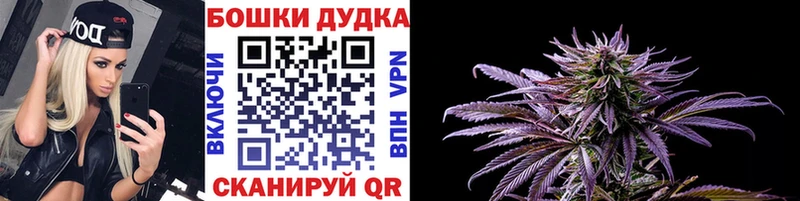 Шишки марихуана гибрид Рошаль